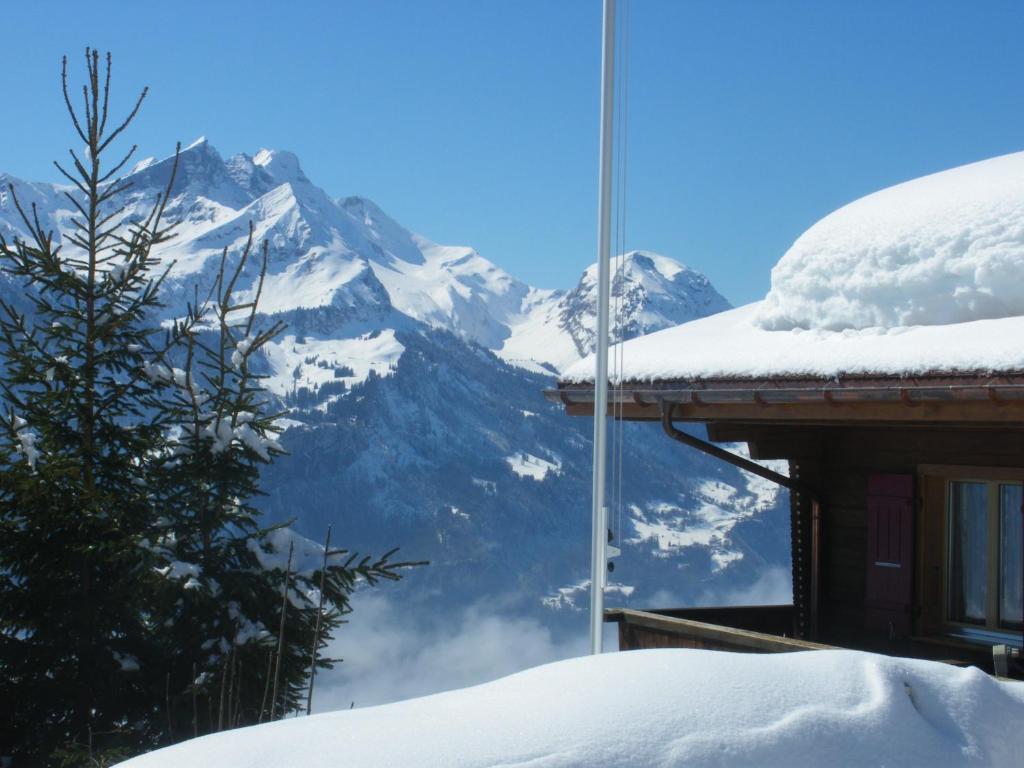 Chalet Blatti Hasliberg Dış mekan fotoğraf